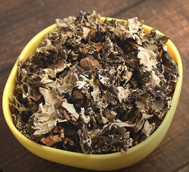 Chaliyar Stone Flower