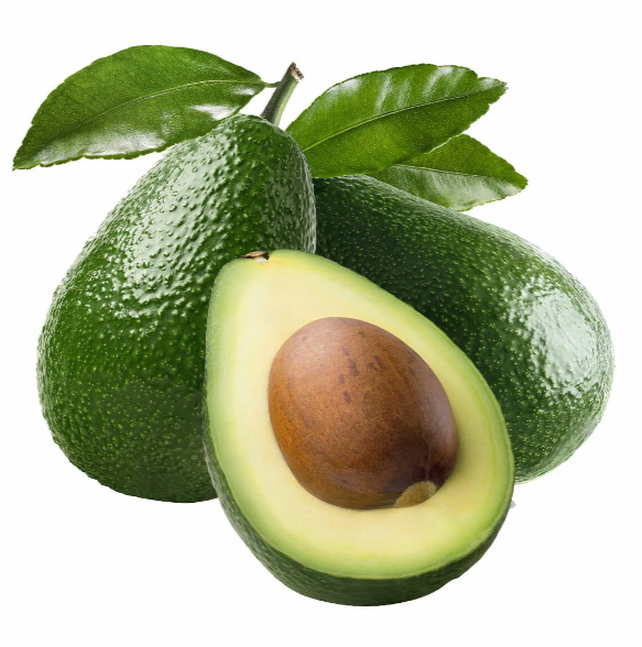 Avocado Kenya