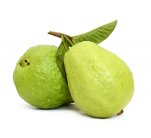Guava Egypt