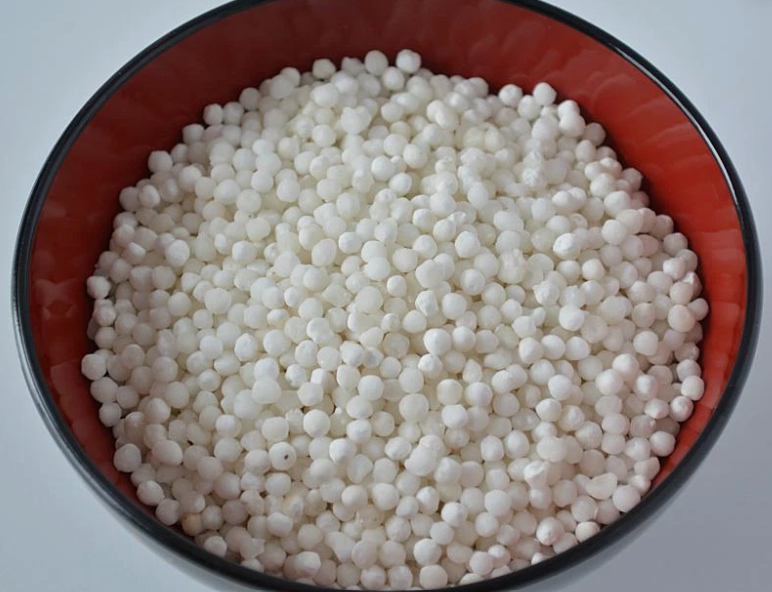 Sago Seeds 30kg