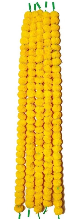 New Gonda Ladi Patta Fold