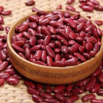 Red Kidney Beans Canada