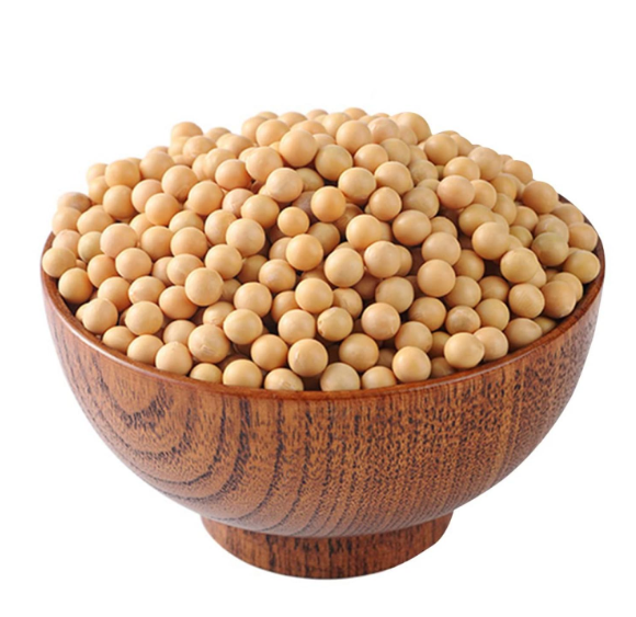Soya Bean Seed 1kg