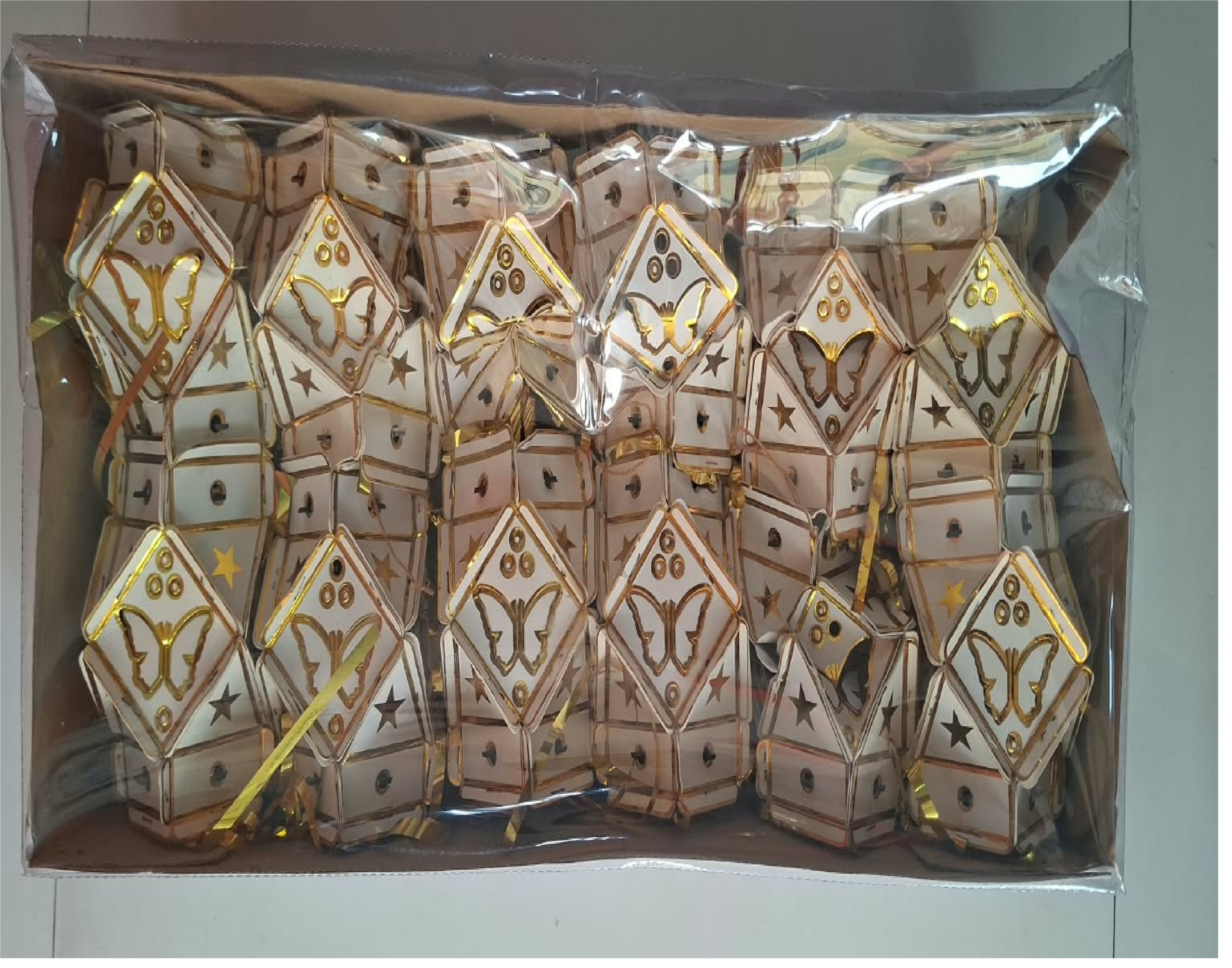 12 Pcs Butterfly Akashdeep