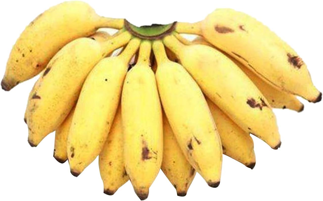 Banana Small India 1kg