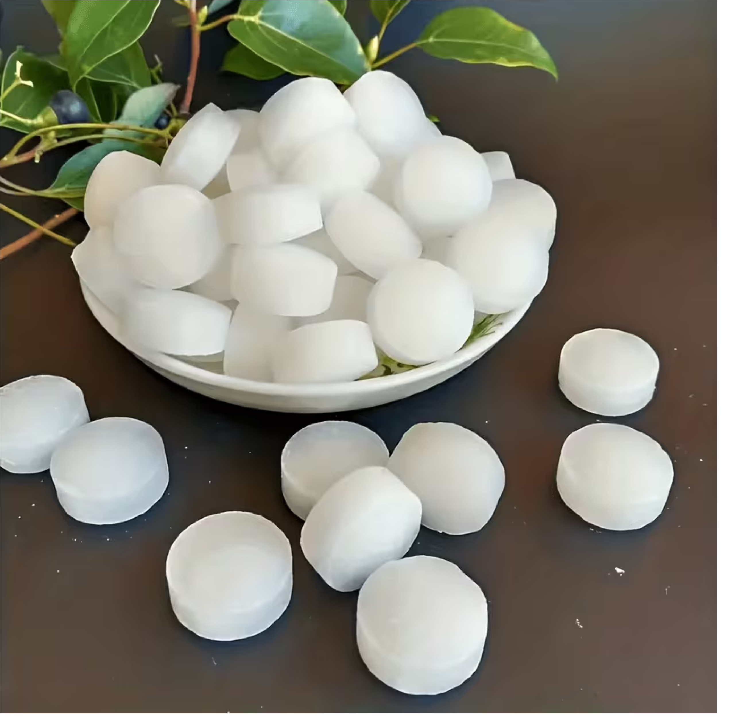 Camphor 50Tab 60*12pc