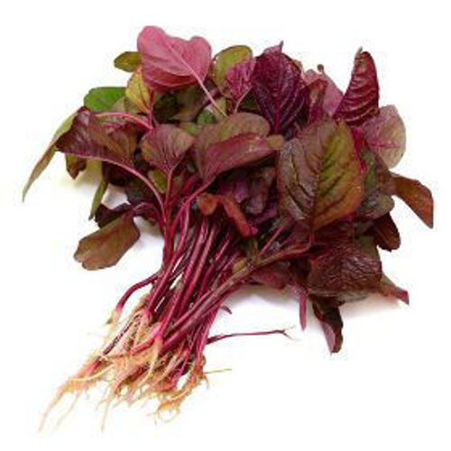 Chera Leafs