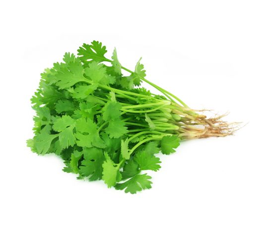 Coriander Leaves 1pcs