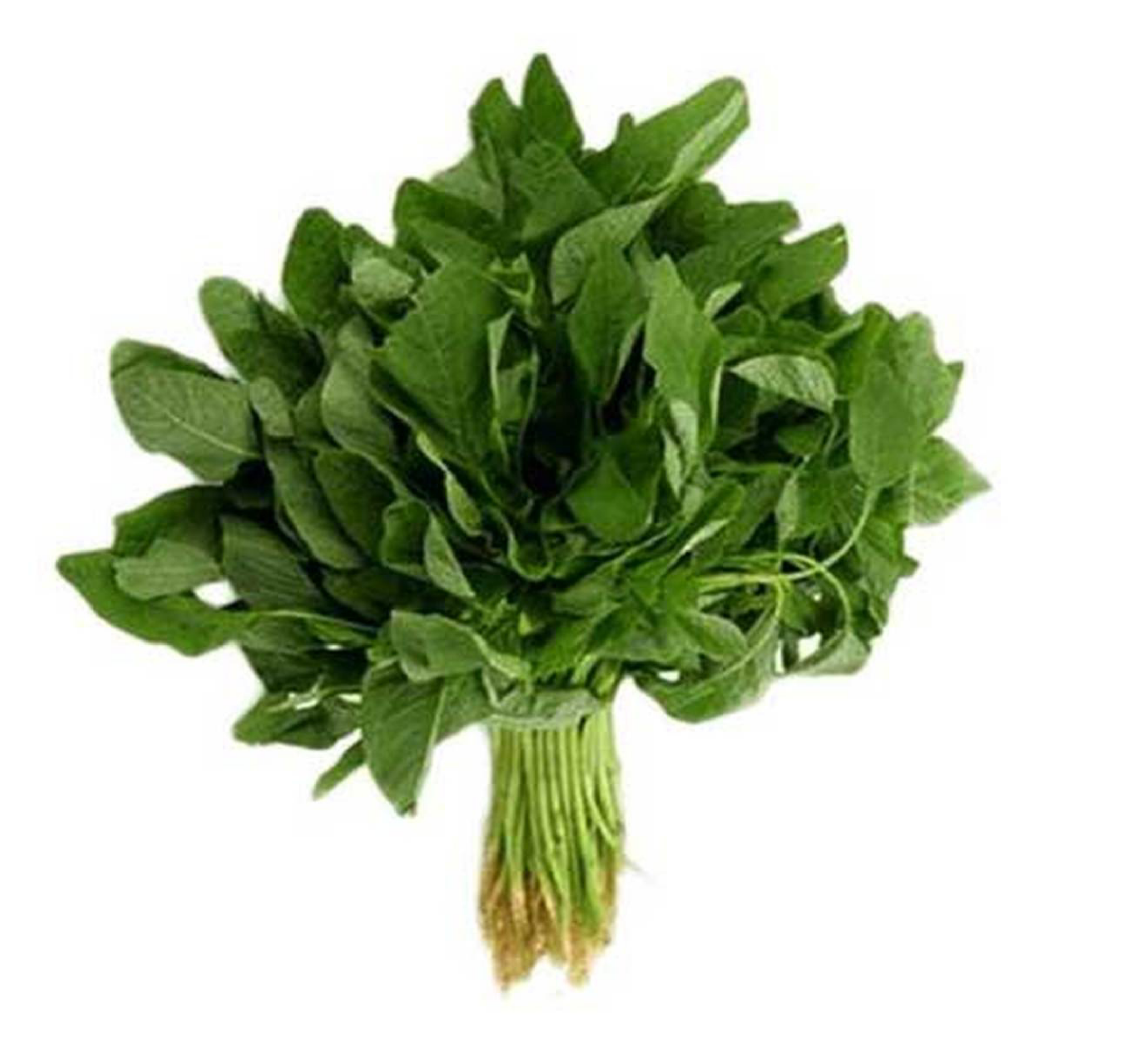 Green Chera 1pc