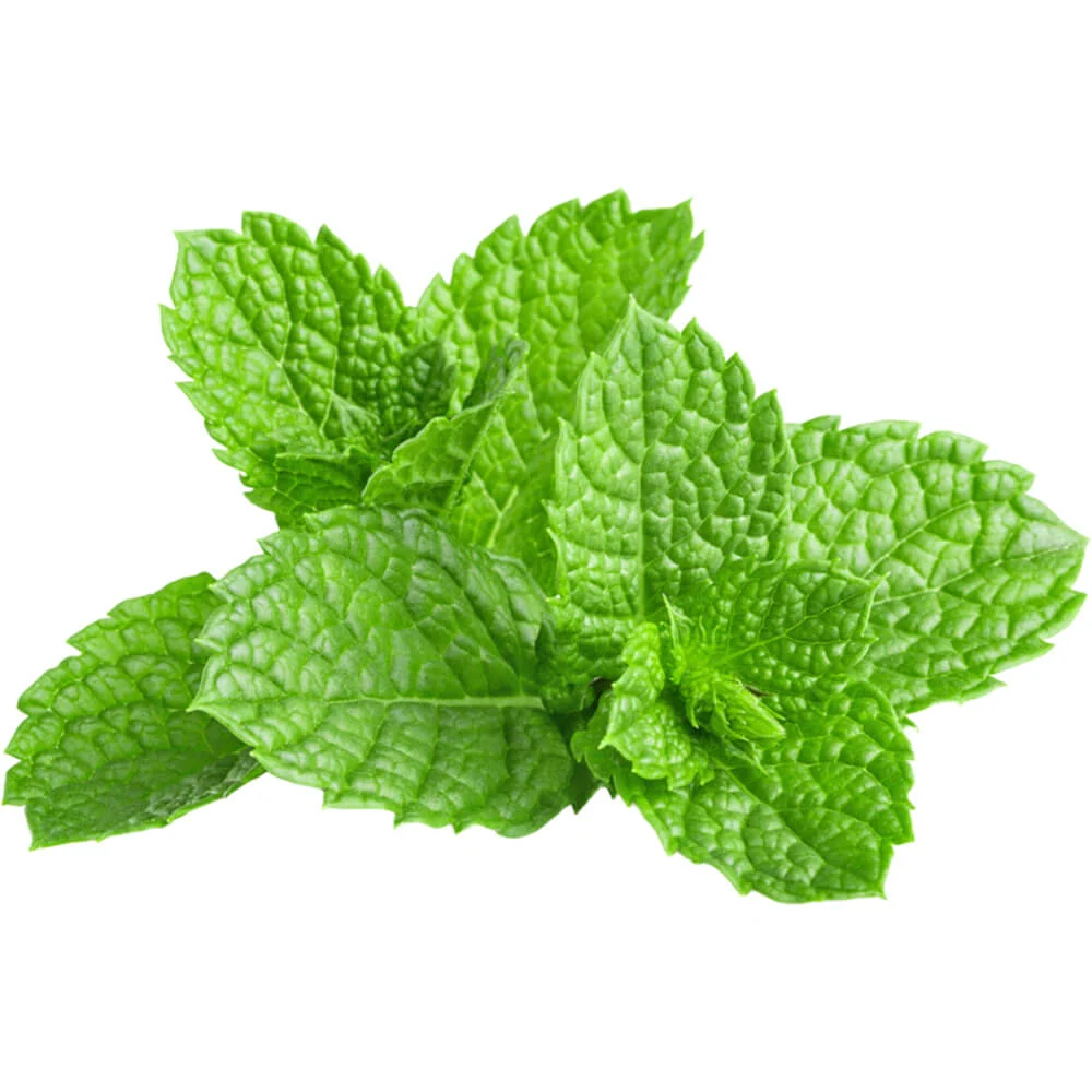 Mint 1pc