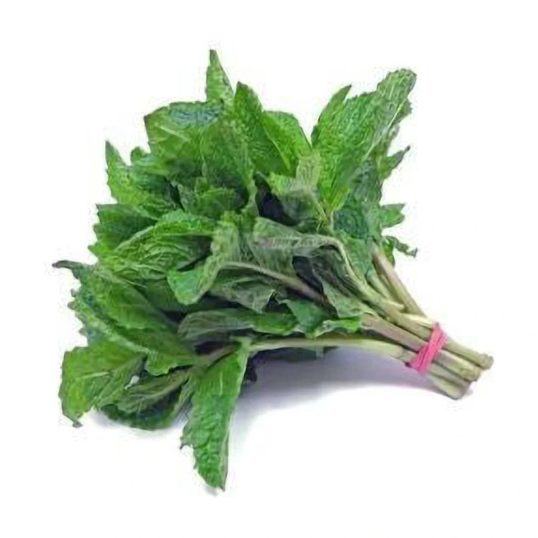 Mint 1pcs