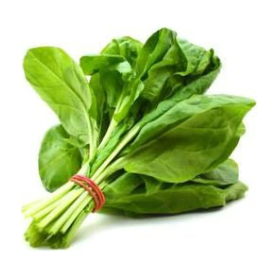 Palak 1pcs