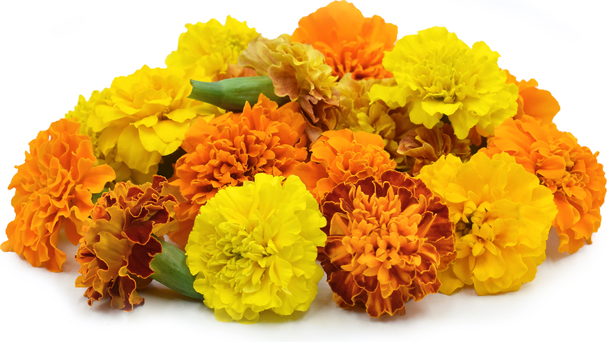 Zandu Flowers