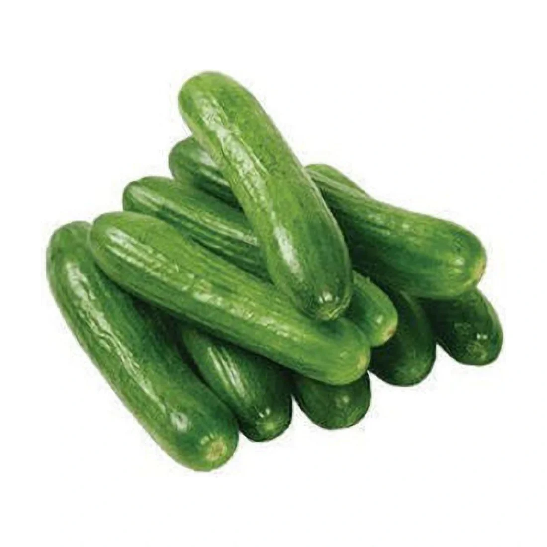 cucumbar 555gm